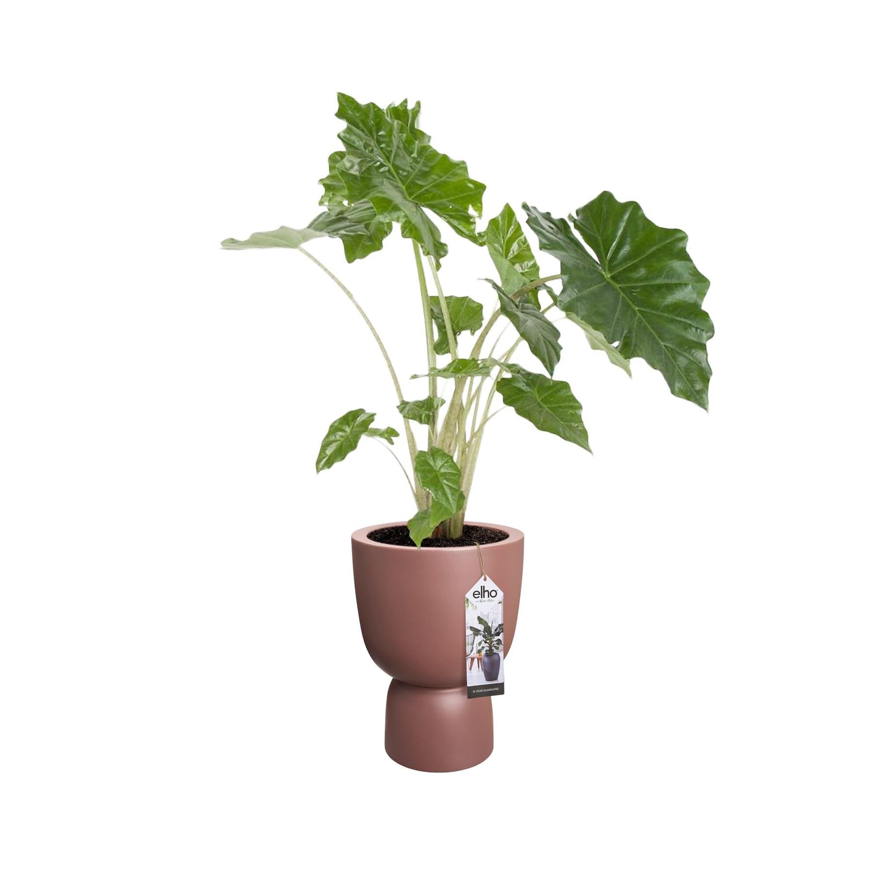 elho Pure Coupe Bloempot Ø 41 cm - Rosy Brown