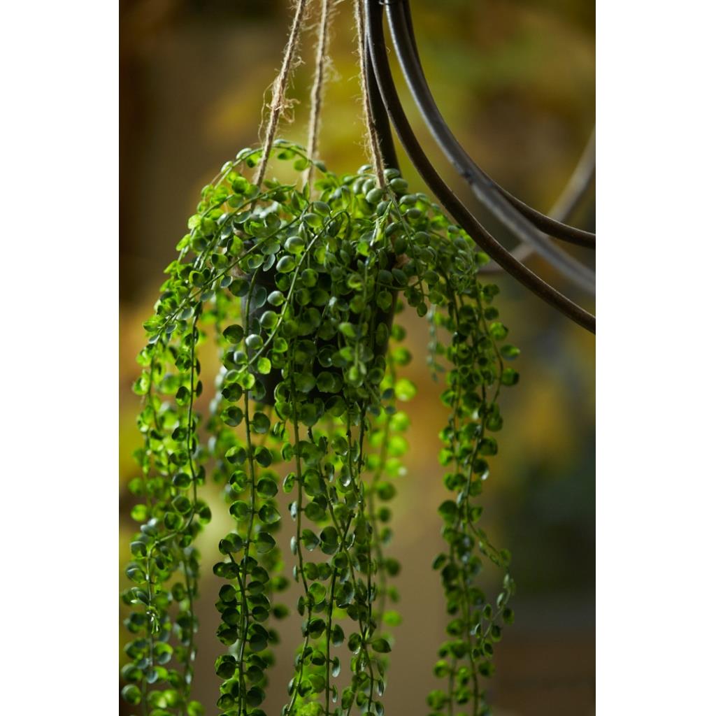 Fleurdirect Ficus Pumila kunstplant