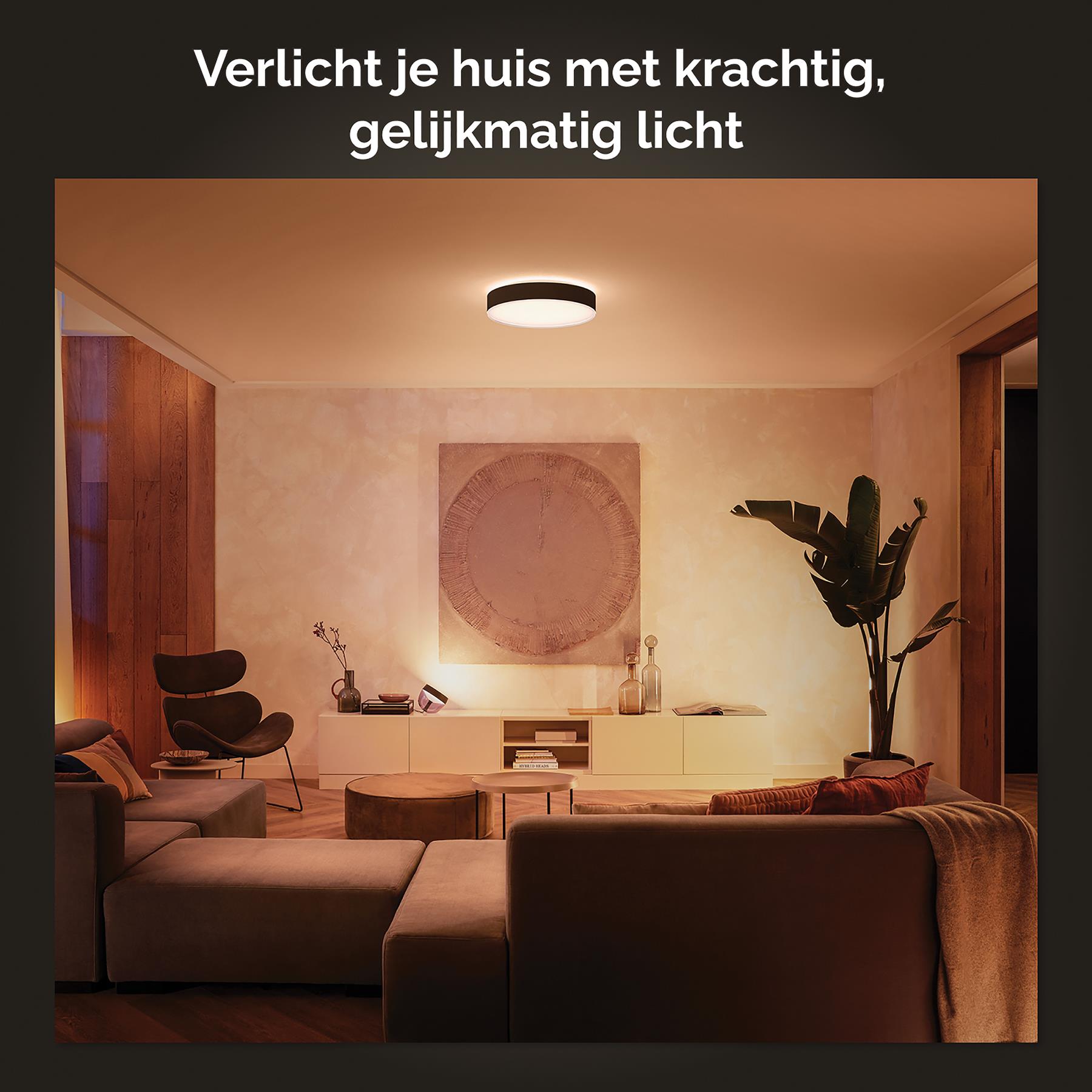 Philips Hue Enrave Plafondlamp - L - Zwart 