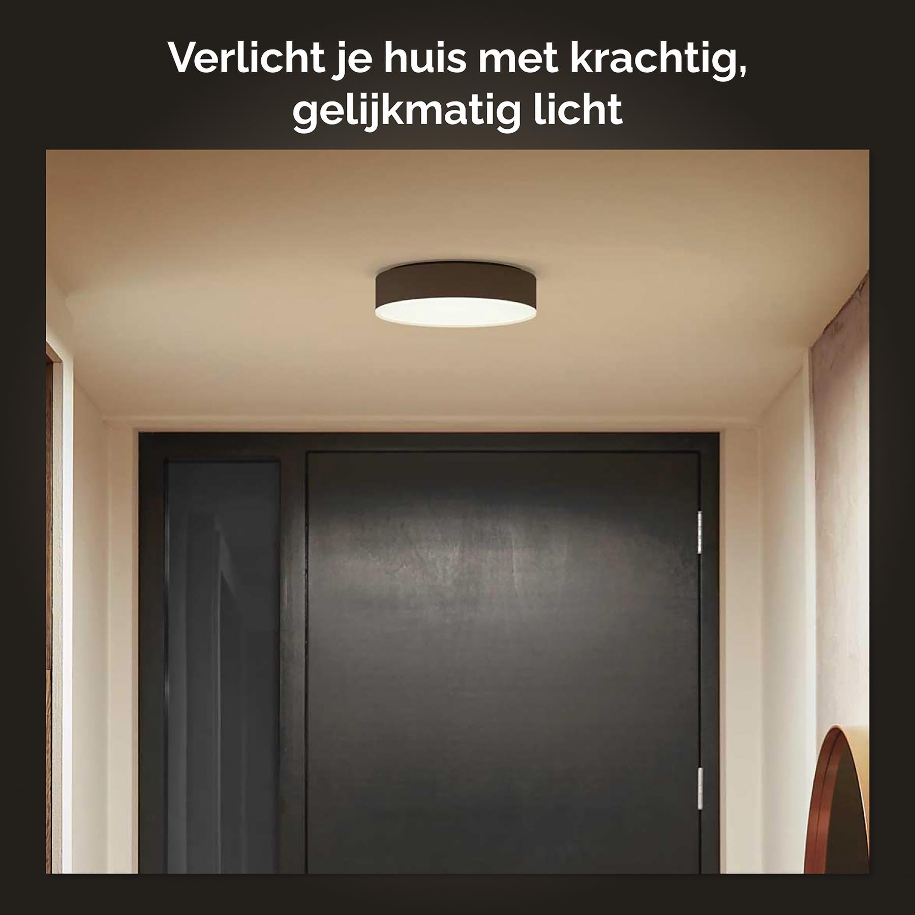 Philips Hue Enrave Plafondlamp - S - Zwart 