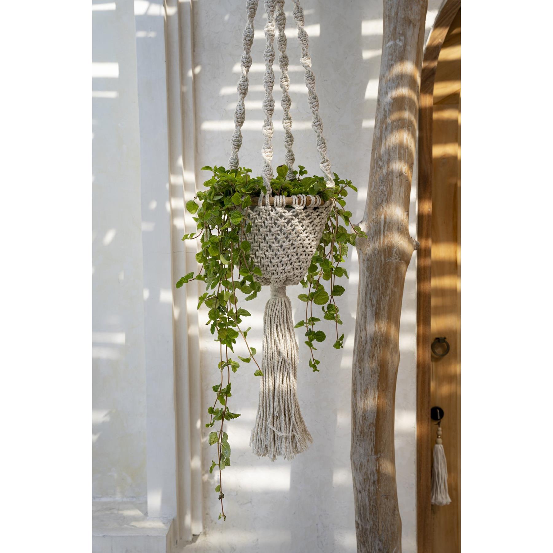 The Twisted Macramé Plant Holder - Natural White - M