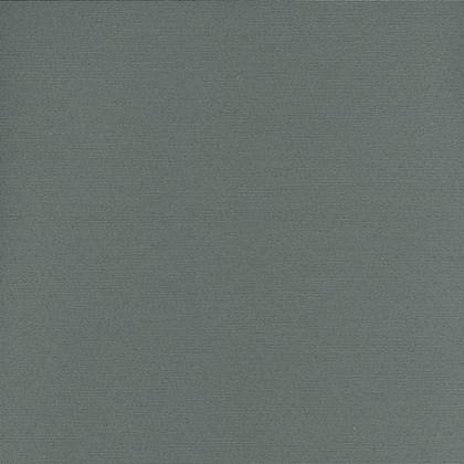 Mistral Home - Placemat - Set van 4 - 35x45 cm - Katoen polyester - Donkergroen