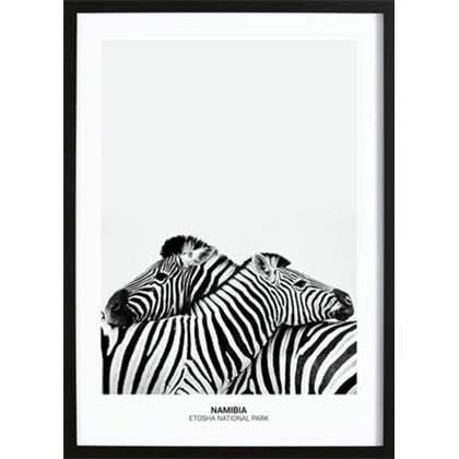 Wallified  Zebra Hug Poster -  - Natuur - Landschap - Zee -