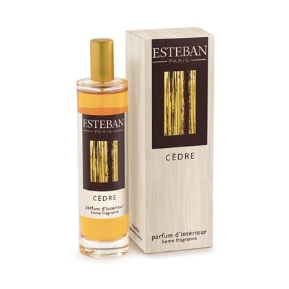 Esteban Classic Iris Cachemire Autoparfum kopen? Shop bij fonQ!