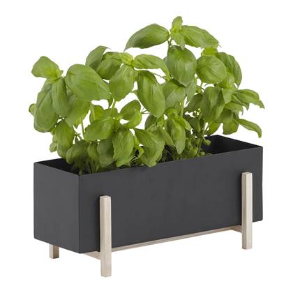 Design House Stockholm Botanic Kruidenbox