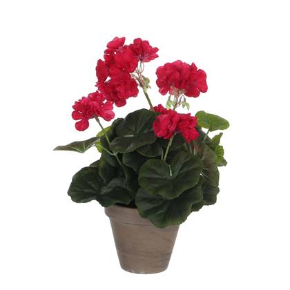 Mica Decorations Geranium Kunstplant - H34 x Ø20 cm - Donker Roze