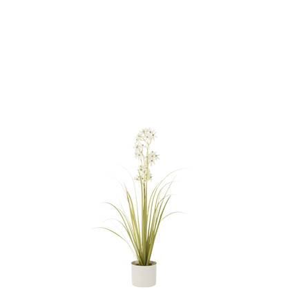 J-Line Allium In Pot Plastiek Groen|Wit Small