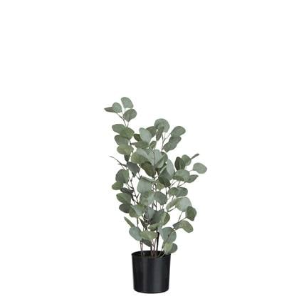 J-Line Eucalyptus In Pot Plastiek Groen Large