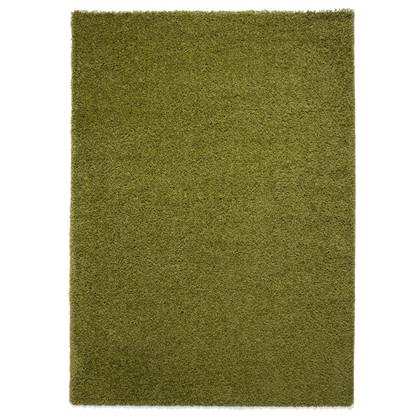 Tapeso Hoogpolig vloerkleed shaggy Trend effen - groen - 300x400 cm