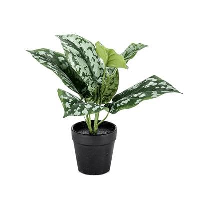 Kunstplant Scindapsus - Polyester - Groen - 24 cm hoog