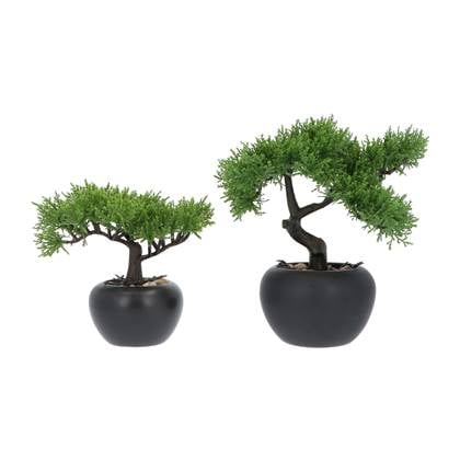Kopu 2 stuks Kunstplant Bonsai boompje Ceder 19 en 25 cm met Pot