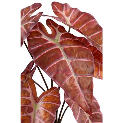 PTMD Alocasia Kunstplant - 34 x 35 x 38 cm - Kunststof - Bruin