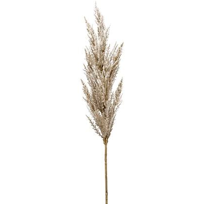 Fleurdirect Grass Pampas kunstplant Crème