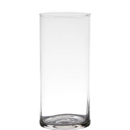 Hakbijl Glass vaas - cilinder glas - - 9 x 19 cm Transparant