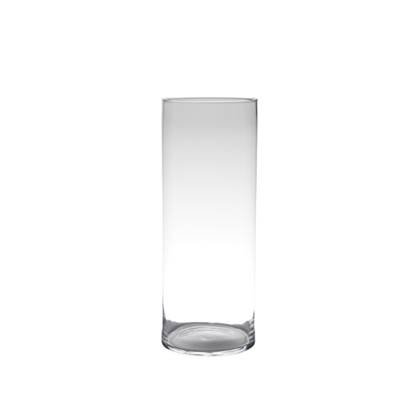 Hakbijl Glass bloemenvaas cylinder model - glas - H50 x D19 cm Transparant
