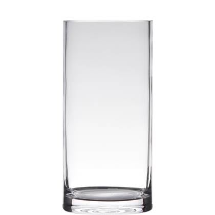 Hakbijl Glass Vaas - cilinder - glas - 12 x 35 cm Transparant