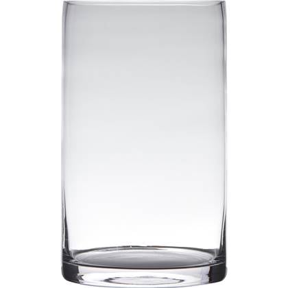 Hakbijl Glass Vaas - cilinder - glas - - 15 x 25 cm Transparant