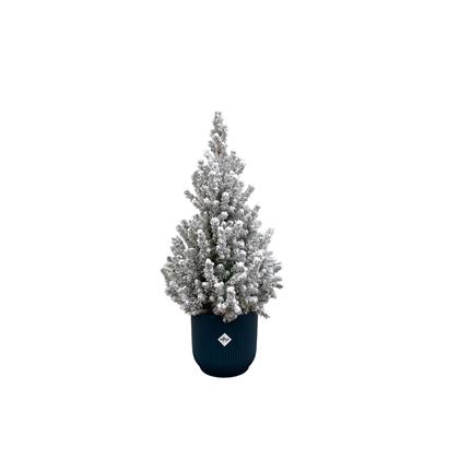 Green Bubble - Picea Glauca met sneeuw (kerstboom) inclusief elho Vibes Fold Round blauw Ø22 - 60 cm