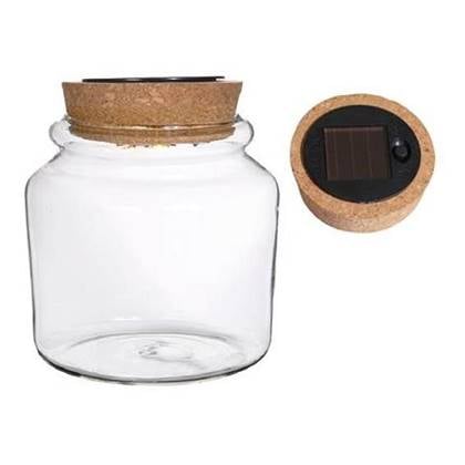 Ideas4seasons Pot|vaas voor ecosysteem - LED verlichting - D15 x H14 c Transparant
