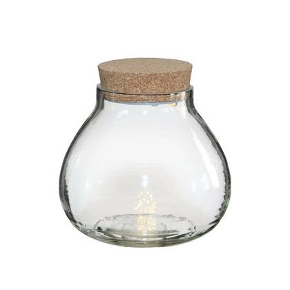 Ideas4seasons Vaas pot - ecosysteem - met LED - D15xH14 cm Transparant