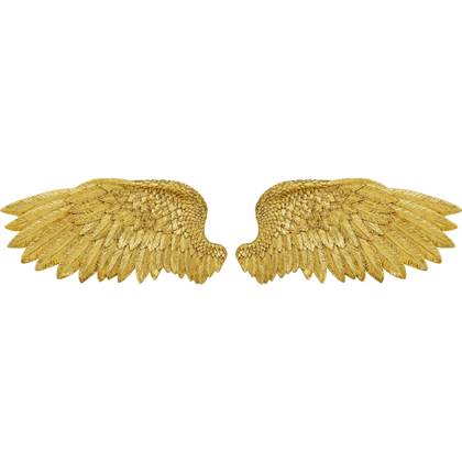 Kare Wanddecoratie Angel Wings (Set van 2)