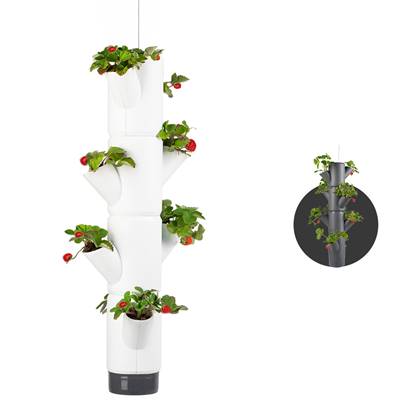 Gusta Garden - Sissy Strawberry - Aardbeien Planten - Aardbeienzak - Kweekbak - Kweektafel - Plantentoren met 4 Levels - Hangend Wit