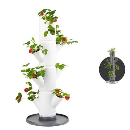 Gusta Garden - Sissy Strawberry - Aardbeien Planten - Aardbeienzak - Kweekbak - Kweektafel - Plantentoren met 4 Levels - Wit