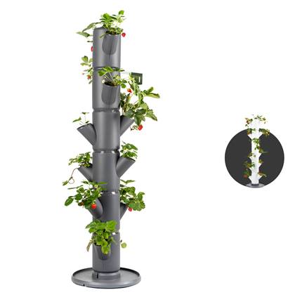 Plantentoren - Aardbeienpot - SISSI STRAWBERRY - Classic voor 13 aardbeiplanten - 113cm hoog (antracietgrijs)
