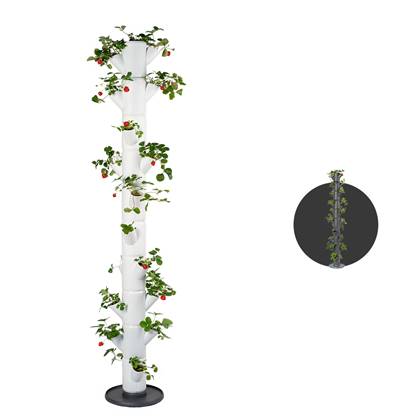 Plantentoren - Aardbeienpot - SISSI STRAWBERRY - Infinity voor 21 aardbeiplanten - 185 cm hoog (wit)