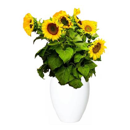 Floran Vaas - - glanzend - keramiek - 25 x 28 cm Wit