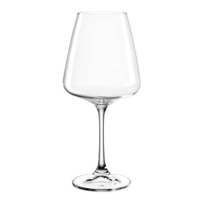 Leonardo Paladino Witte Wijnglazen 0,54 L - 6 st. Transparant