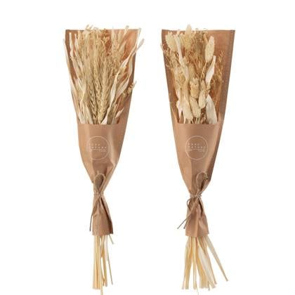 J-Line droogbloemen - Bundel gedroogde Avana gras - naturel - 2 stuks Beige