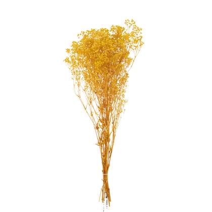 J-Line droogbloemen - Bundel gedroogde Gypsophilia - Geel