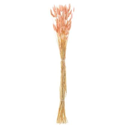 J-Line droogbloemen - Bundel Hazenstaart - gedroogd pluim - licht Roze