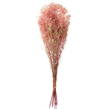 J-Line droogbloemen - Bundel Gypsophilia Gedroogd - riet - Roze