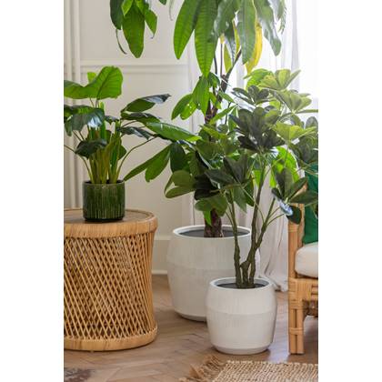 J-Line plant Pothos Plant In Pot - kunststof - Groen