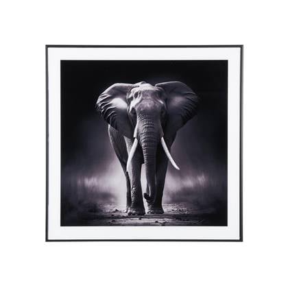 present time - Photo Art Elephant