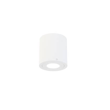 QAZQA capa - Moderne LED Dimbare Smart Plafondspot | Spotje | Opbouwspot incl. wifi met Dimmer voor badkamer - 1 lichts - Ø 9 cm - Wit -