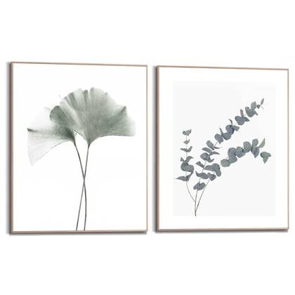 Schilderijen set Bloemen en Planten Eucalyptus Blad 50x40 cm - Reinders