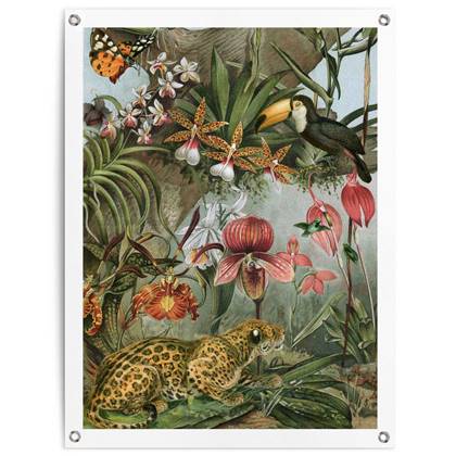 Tuinposter Bloemen en Planten Jungle Flowers 80x60 cm Canvas - Reinders