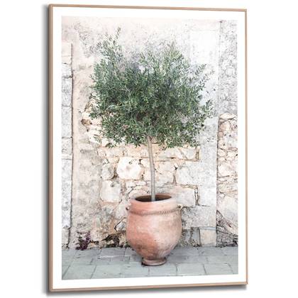 Schilderij Olive Tree 70x50 cm