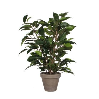 Mica Decorations Ficus Natasja Kunstplant in Bloempot H40 cm Groen