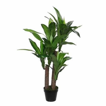 Mica Decorations Dracaena Kunstplant H110 cm Groen