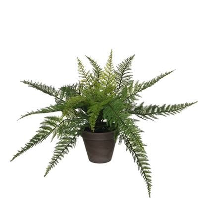 Mica Decorations Varen Kunstplant - H38 x Ø50 cm - Groen