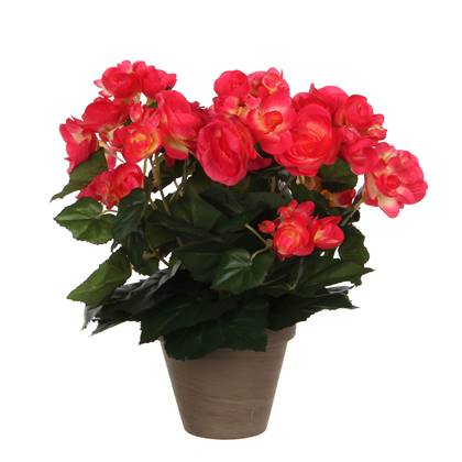 Mica Decorations Begonia Kunstplant - H30 x Ø25 cm - Donker Roze