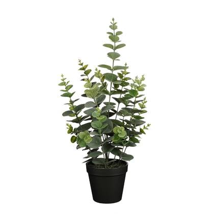 MICA DECORATIONS EUCALYPTUS IN POT GROEN - H53XD23CM