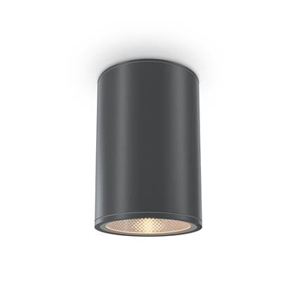 Maytoni Outdoor - Plafondlamp Bar - Grafiet - Ø10,8 Grijs