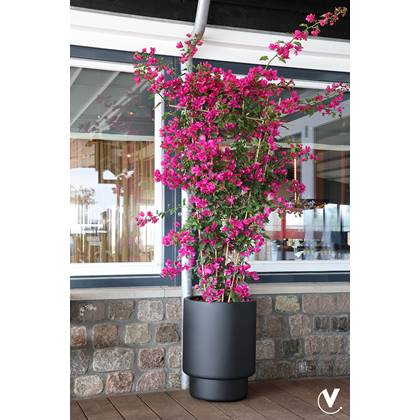 Vase The World Almstok big black Ø50 x H65 cm