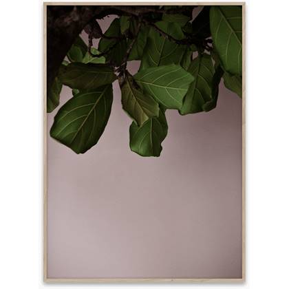 Paper collective Poster Norm Architects Green Leaves 30x40