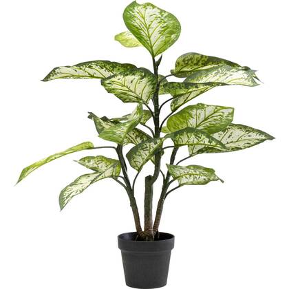 Kare Design Kare Kunstplant Dieffenbachie 100cm